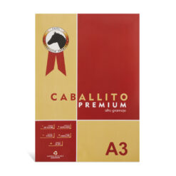 Block De Dibujo Caballito Premium A3 180grs 10 Hojas