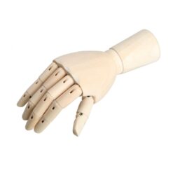 Modelo Mano Articulable 25cm